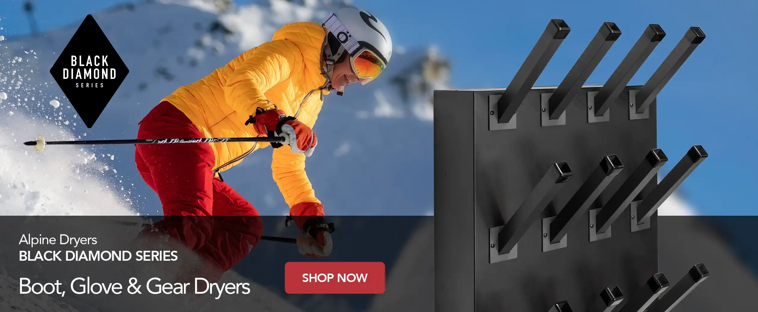 Alpine Dryers Black Diamond Series - for boots, gloves and gear